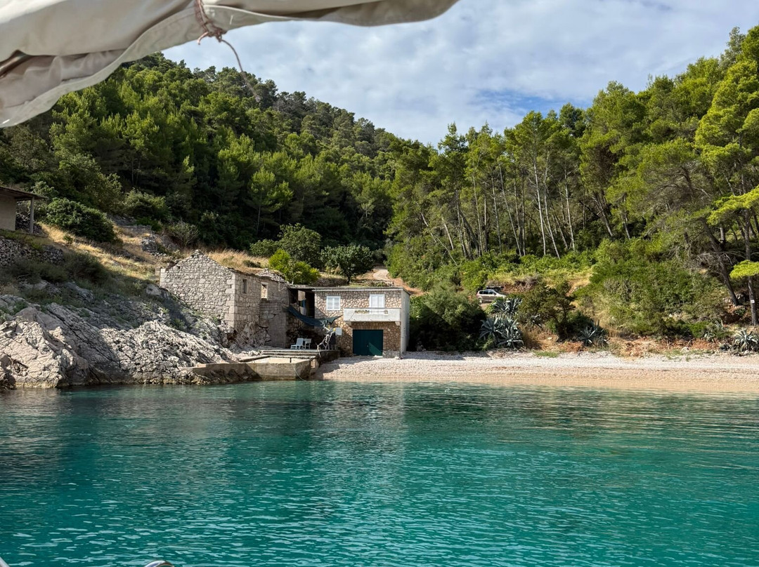 Fish & Trips & More-Podgora必去景点