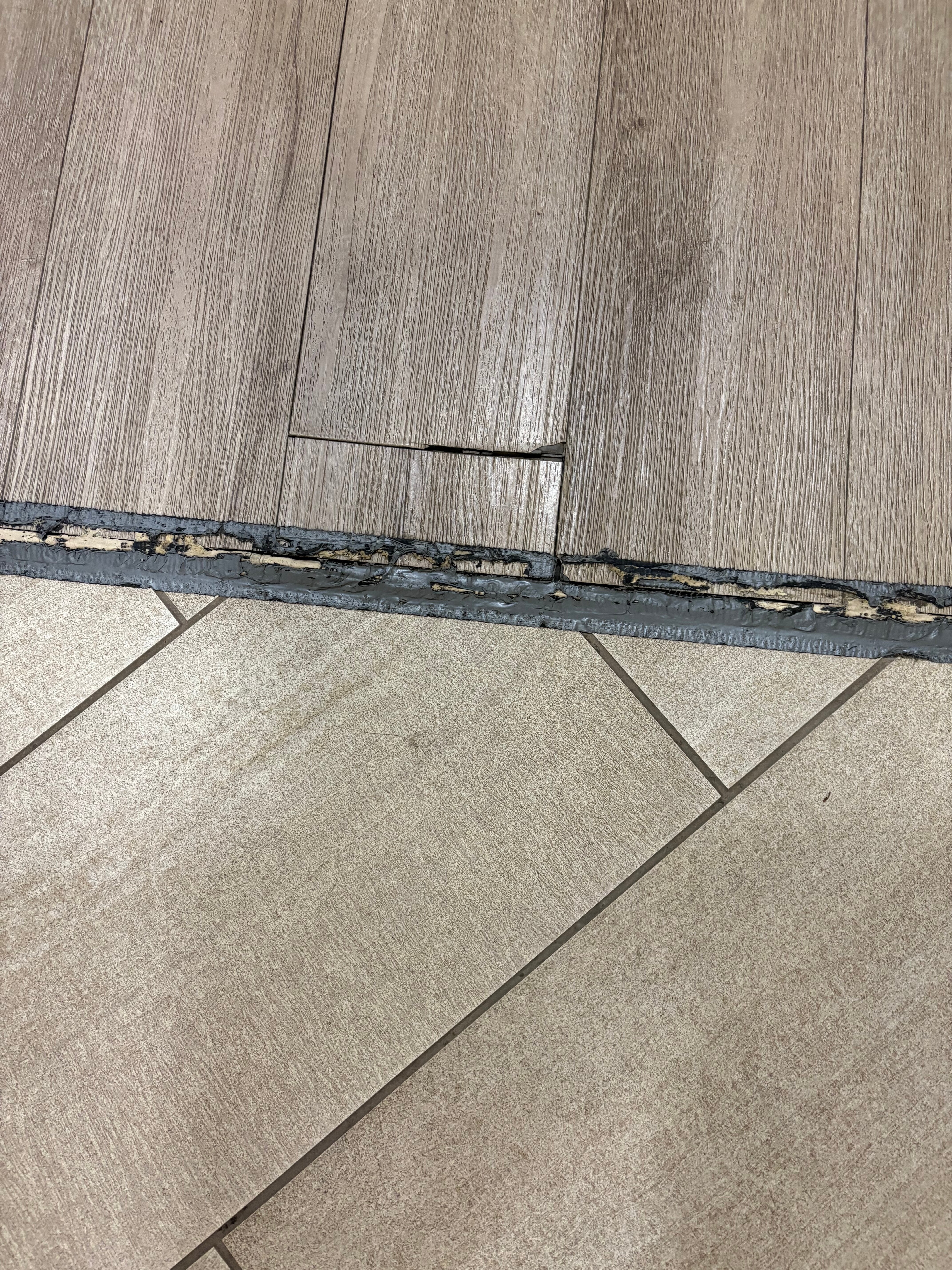 悉尼水滨假日酒店-客卧