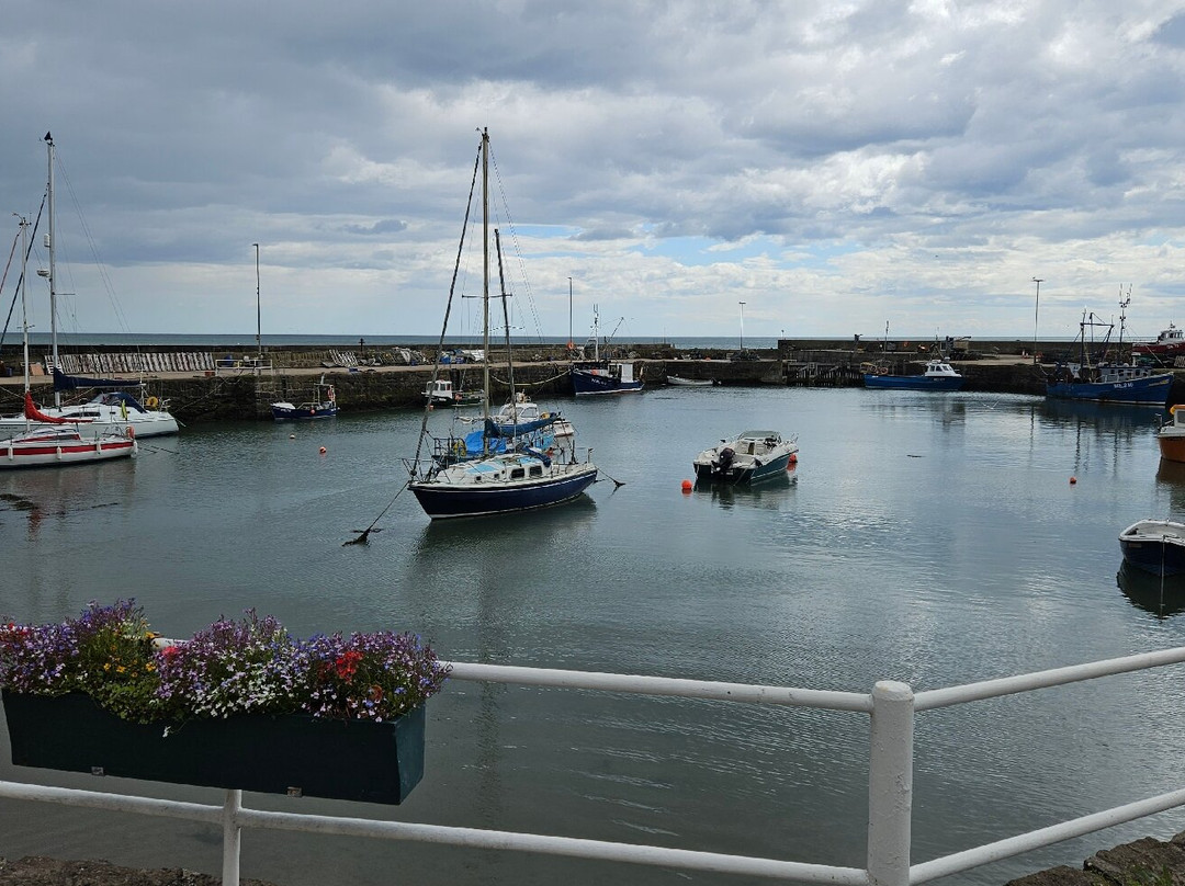 Harbour Bar, Gourdon-Montrose必去景点