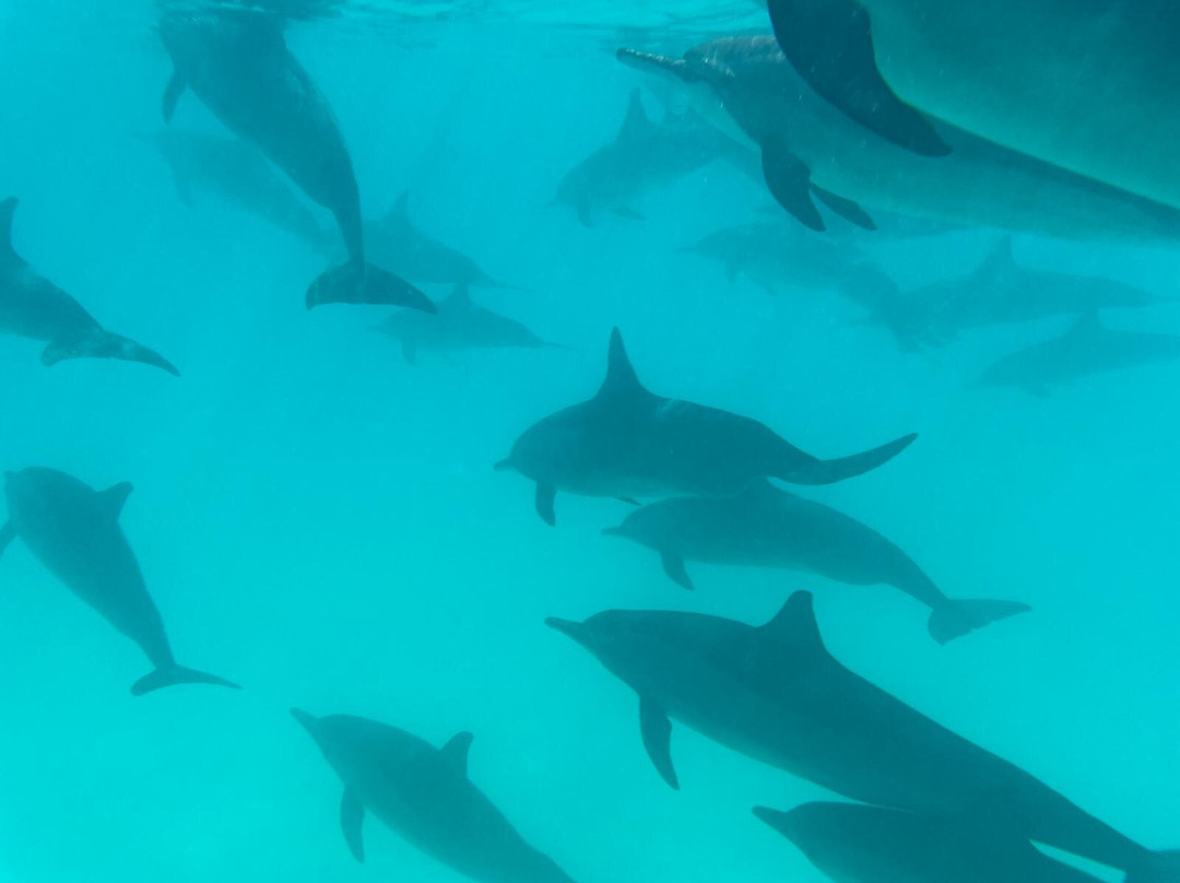 Wadi El Gemal National Park-马萨阿拉姆必去景点