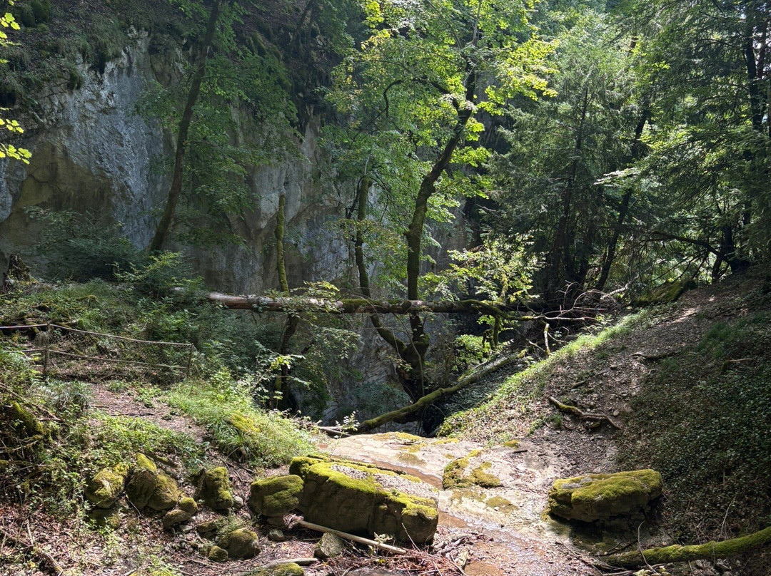 Cascade d'Angon-Angon必去景点