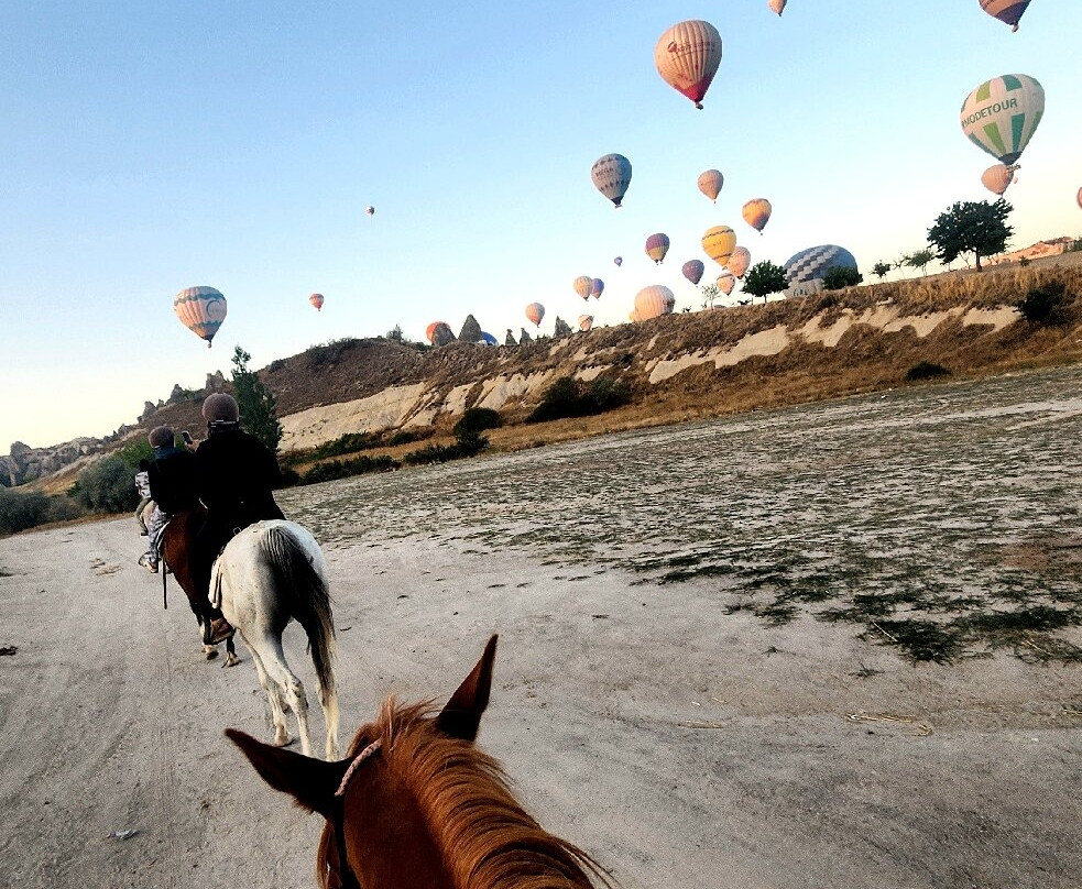 The Dalton Brothers Horse Riding Tours-格雷梅必去景点