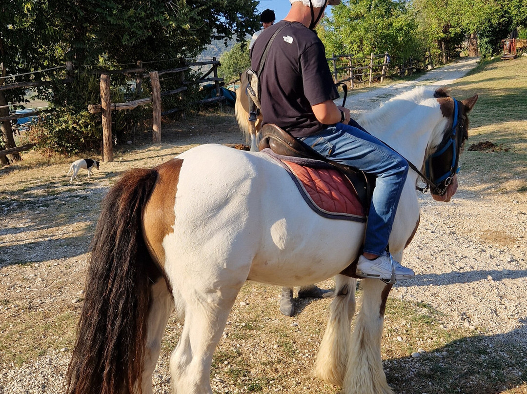 Sulla Collina di Castelnuovo di Farfa-Castelnuovo di Farfa必去景点