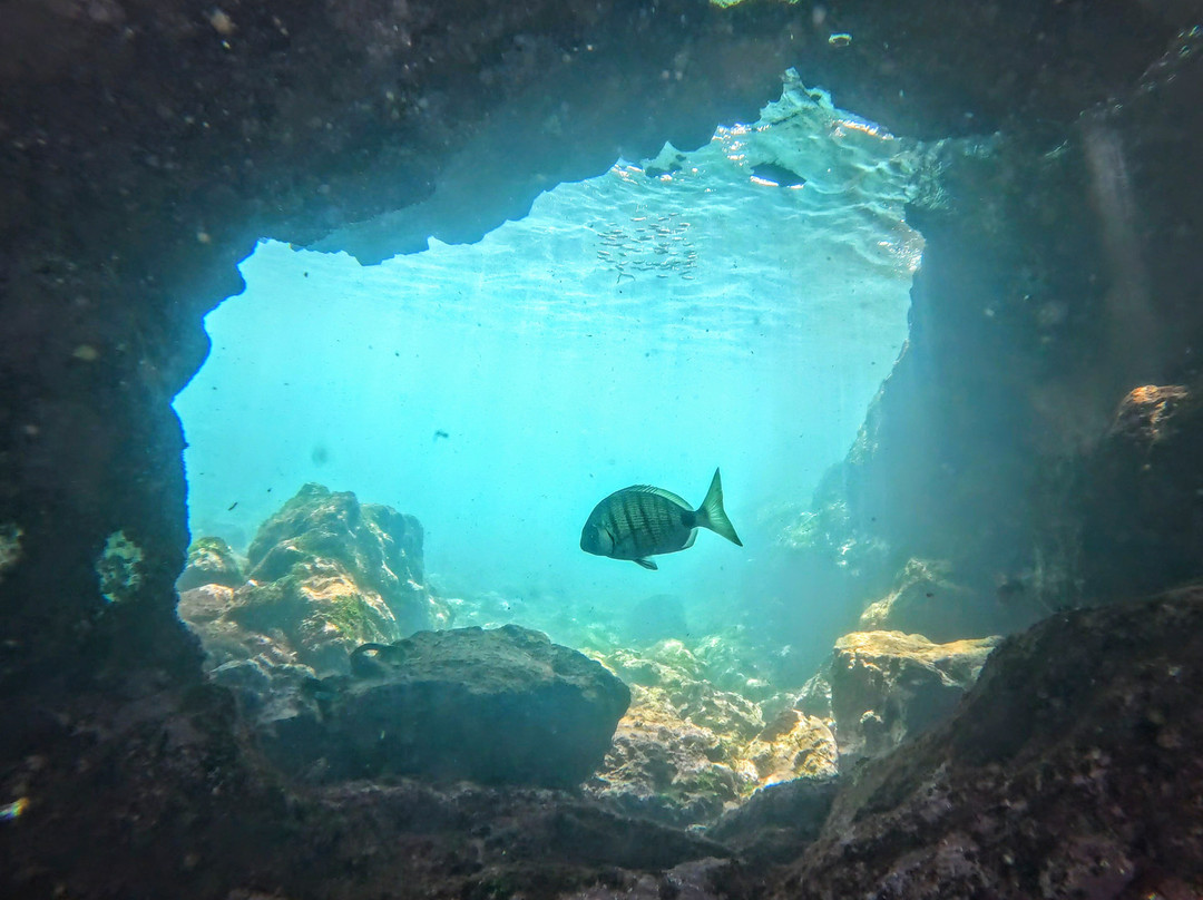 Playa De Los Cancajos-布雷尼亚瓦哈必去景点