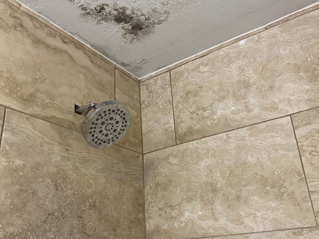 La Quinta Inn & Suites by Wyndham Prattville主图