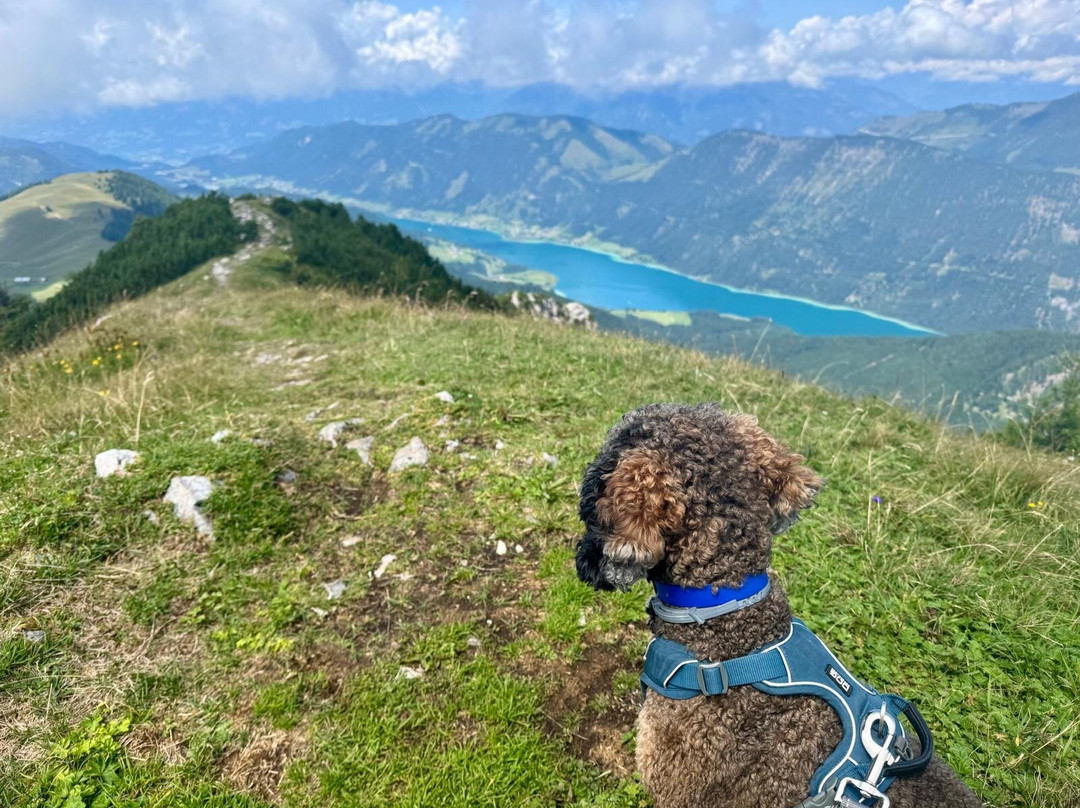 Das Leonhard - Naturparkhotel am Weissensee主图