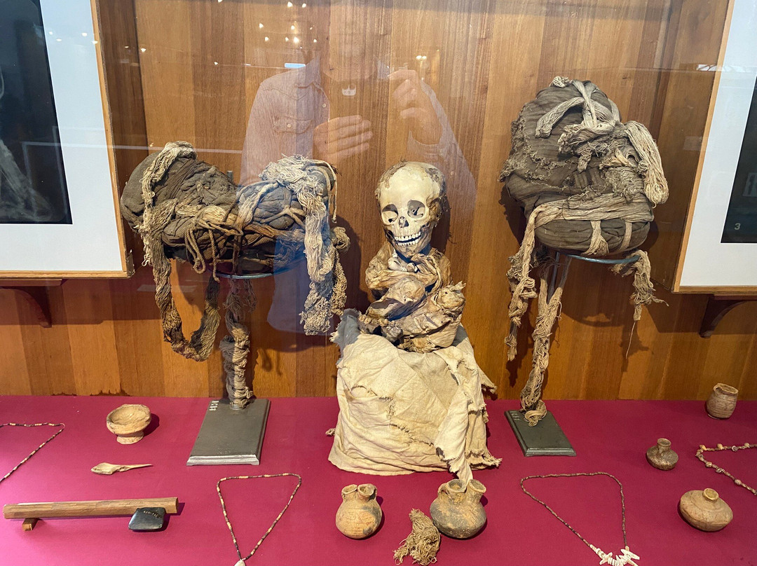 Museo Arqueologico de Sogamoso-Sogamoso必去景点