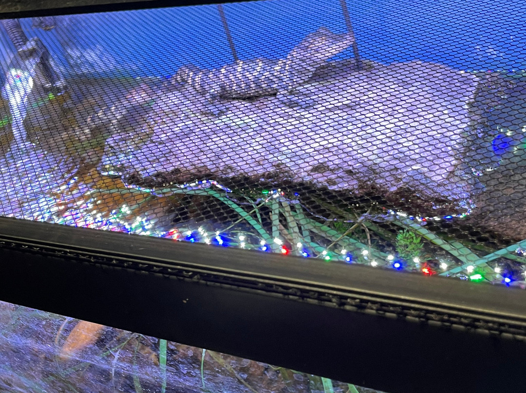 Living Shores Aquarium-Glen必去景点