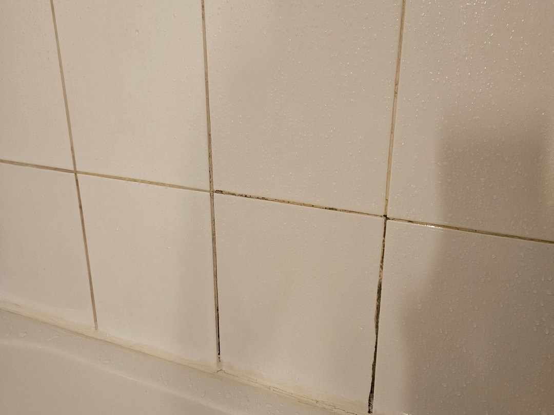 Hotel ibis budget Sisteron主图