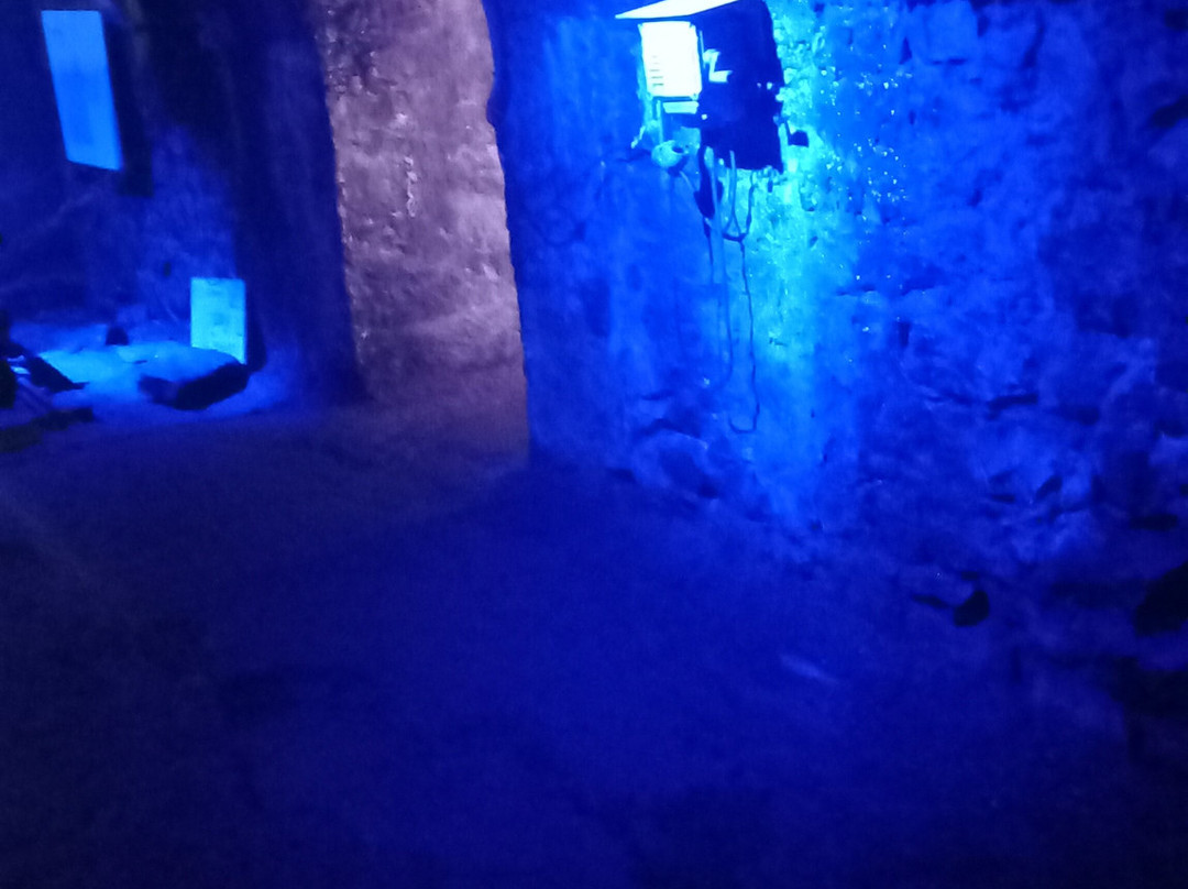 La Mine Image-La Motte-d'Aveillans必去景点