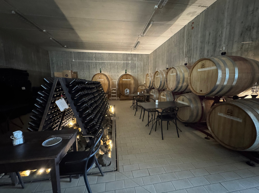 Podere Della Bruciata Winery-蒙特普尔恰诺必去景点