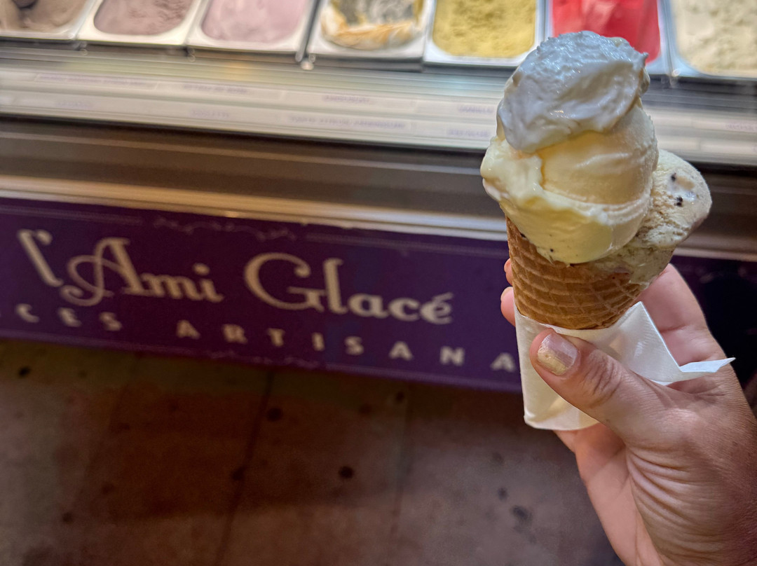 L'ami Glacé