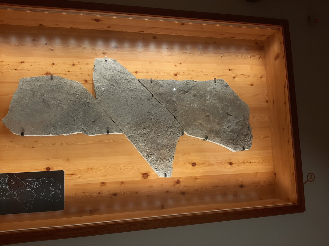 Geological Museum of the Dolomites-普雷达佐必去景点