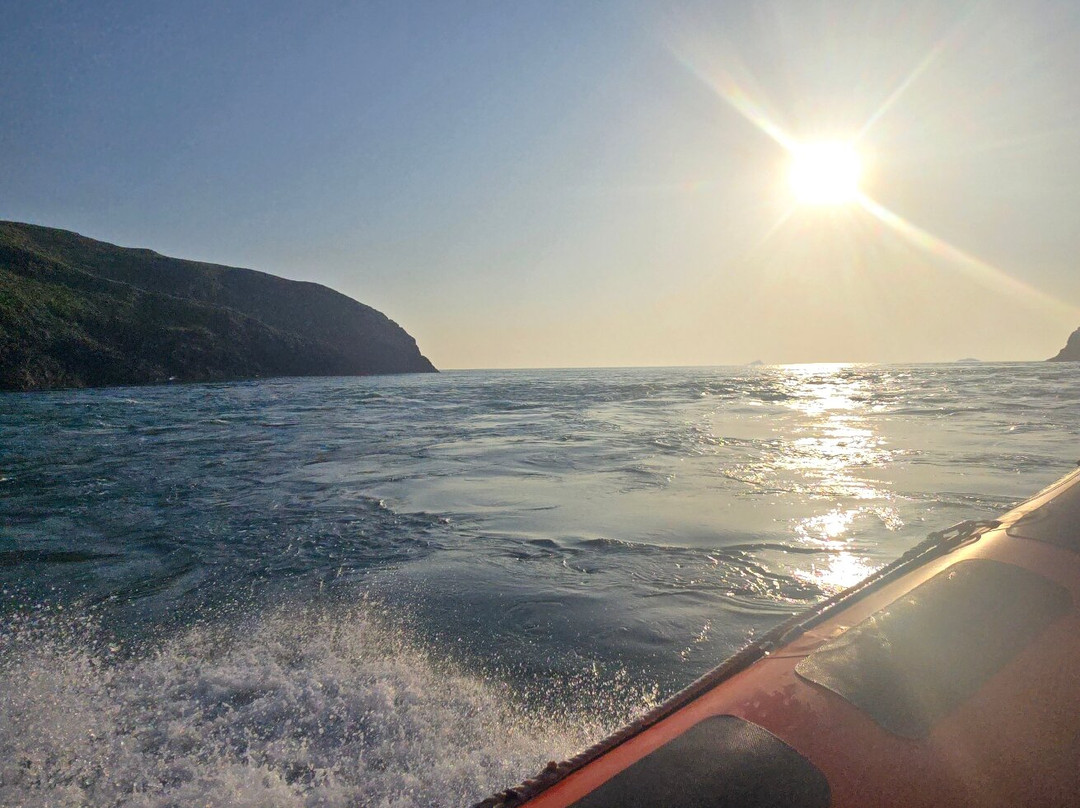 Voyages of Discovery (Ramsey Island)-St. Davids必去景点