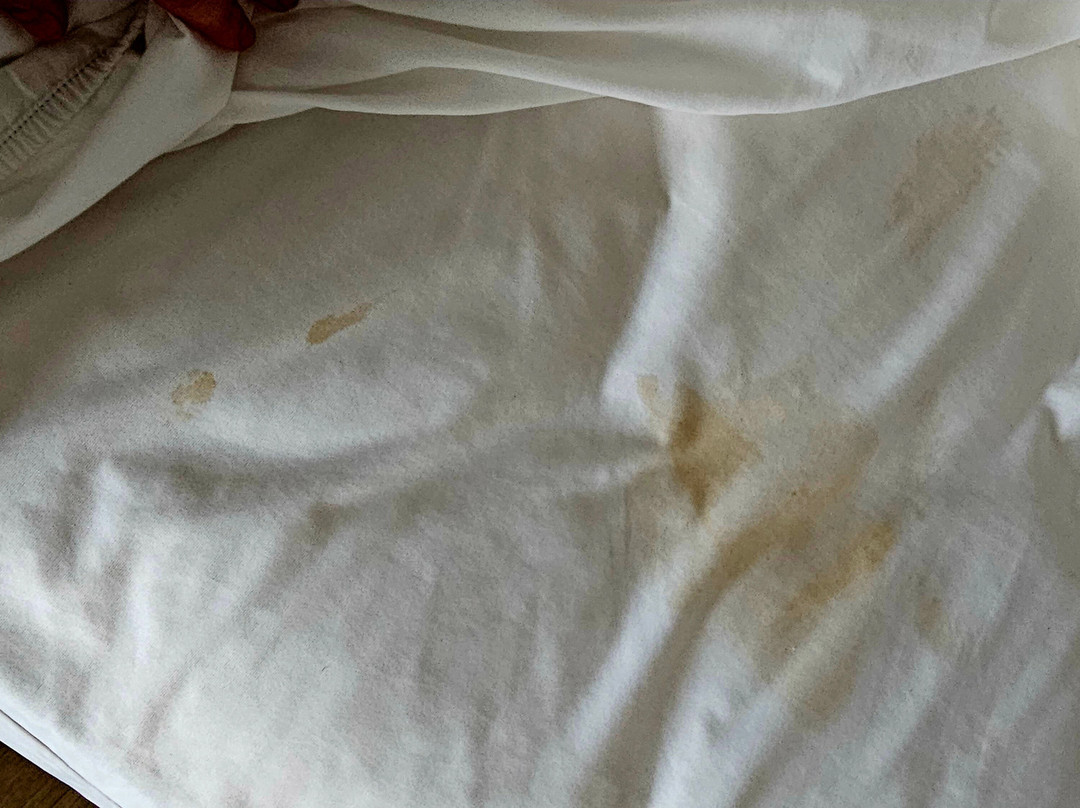 Radisson Hotel West Memphis主图