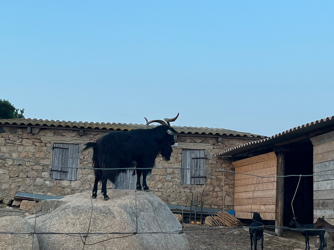 Corsica Ranger-博尼法乔必去景点