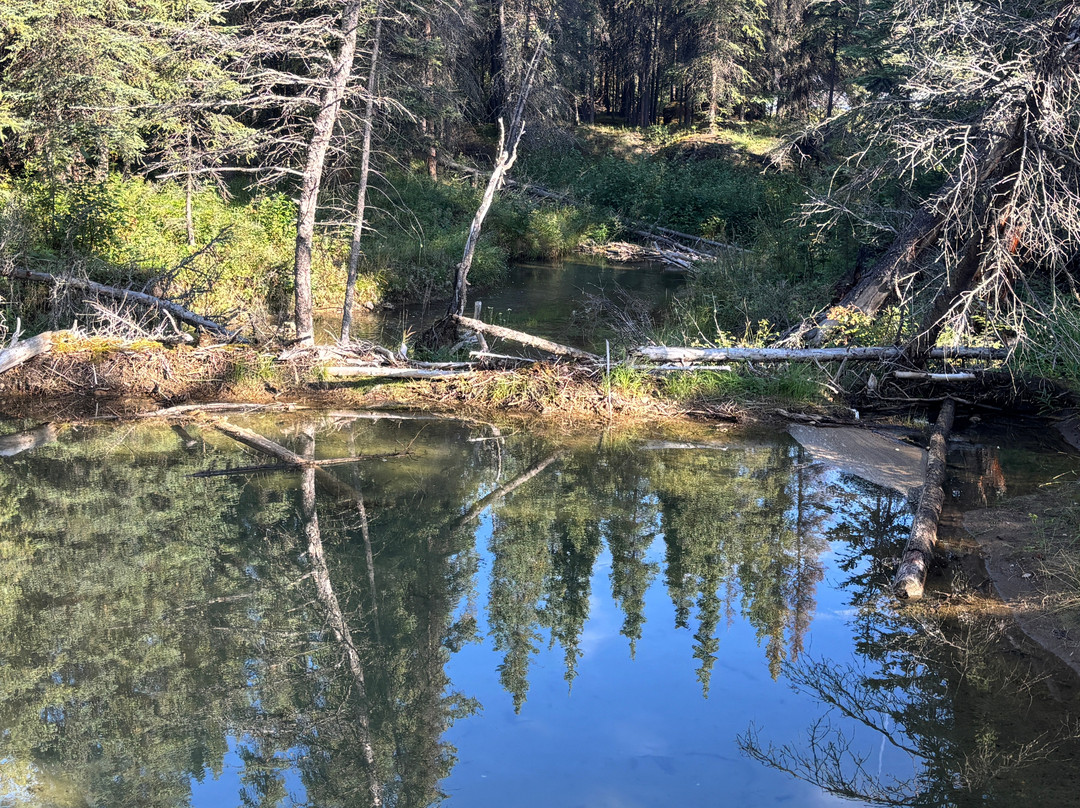 Horseshoe Lake Trail-德纳利国家公园和自然保护区必去景点
