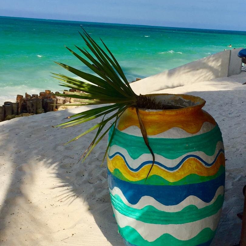 Escape To Tanzania Trekking & Safaris-莫西必去景点