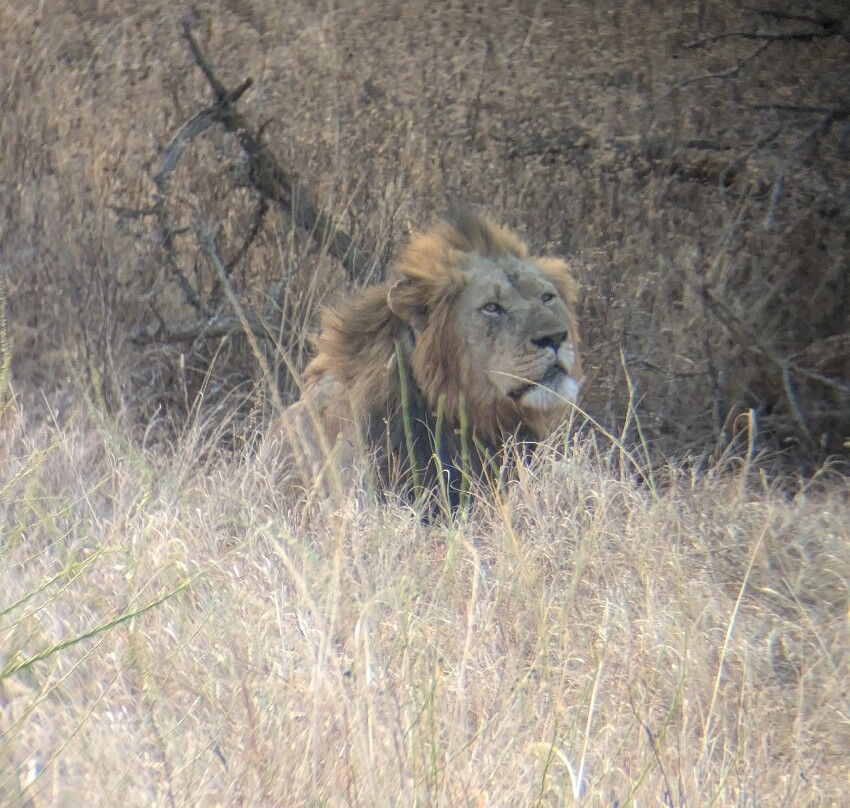 Pamoja Safaris-恩德培必去景点