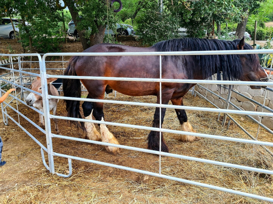 Canoa Sul Tirino - Abruzzo Wild-Bussi sul Tirino必去景点