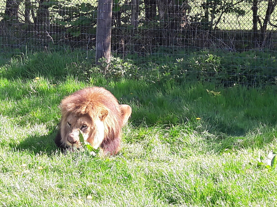 Longleat House-沃敏斯特必去景点