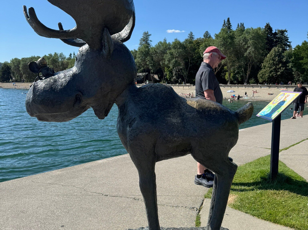 Coeur d'Alene City Park and Independence Point-科达伦必去景点