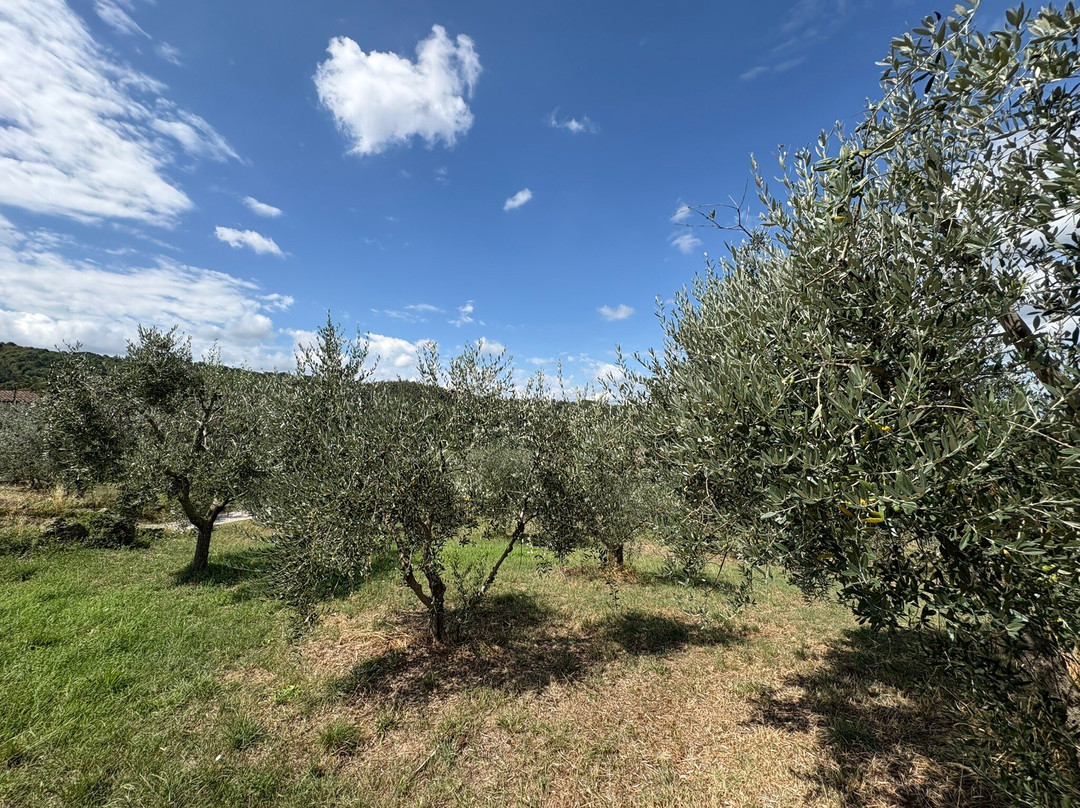 Discovery Chianti-格雷韦伊恩基亚恩蒂必去景点