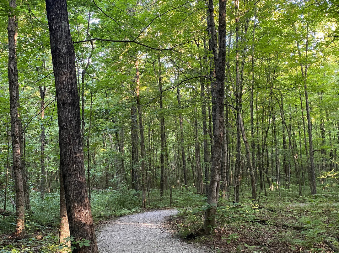 Charleston Falls Preserve-Tipp City必去景点