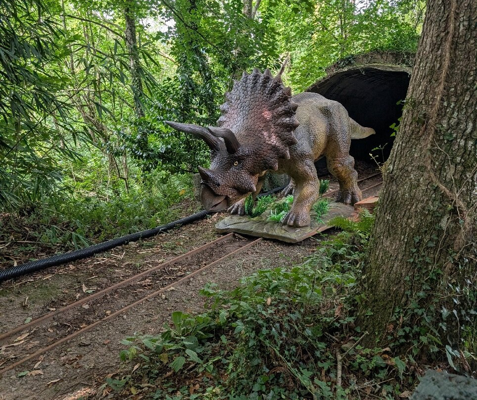 Combe Martin Wildlife And Dinosaur Park-伊尔弗勒科姆必去景点