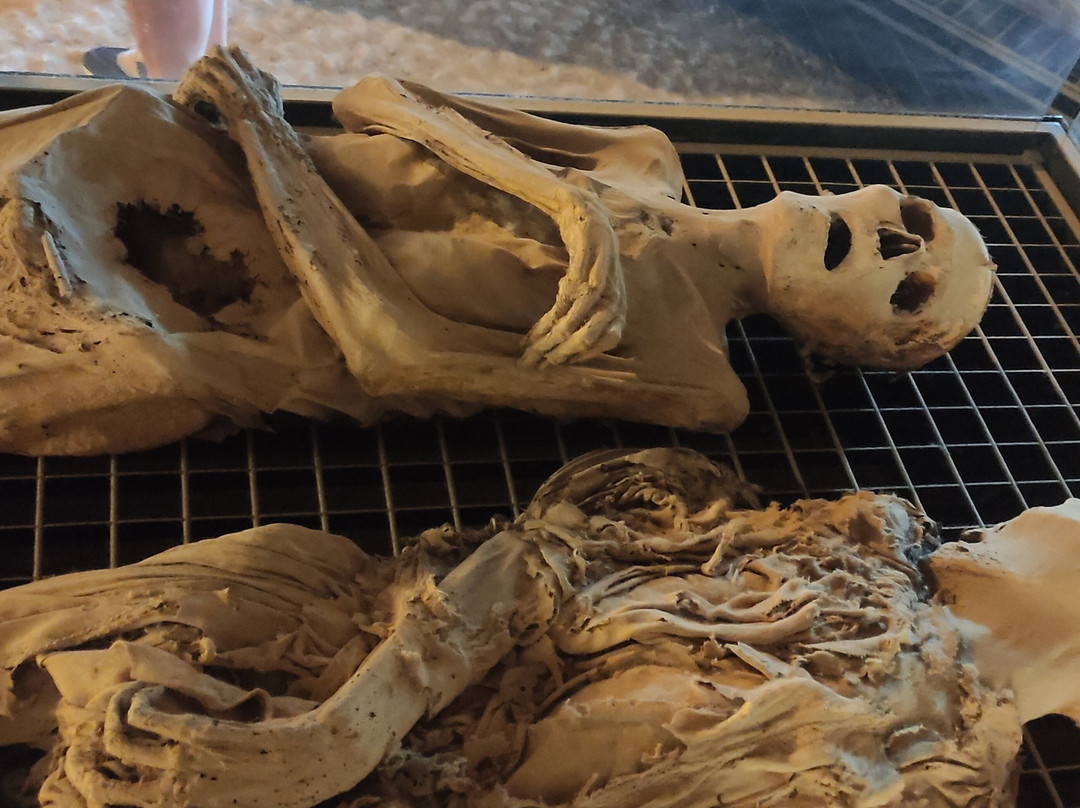 Museo delle Mummie di Ferentillo-Ferentillo必去景点