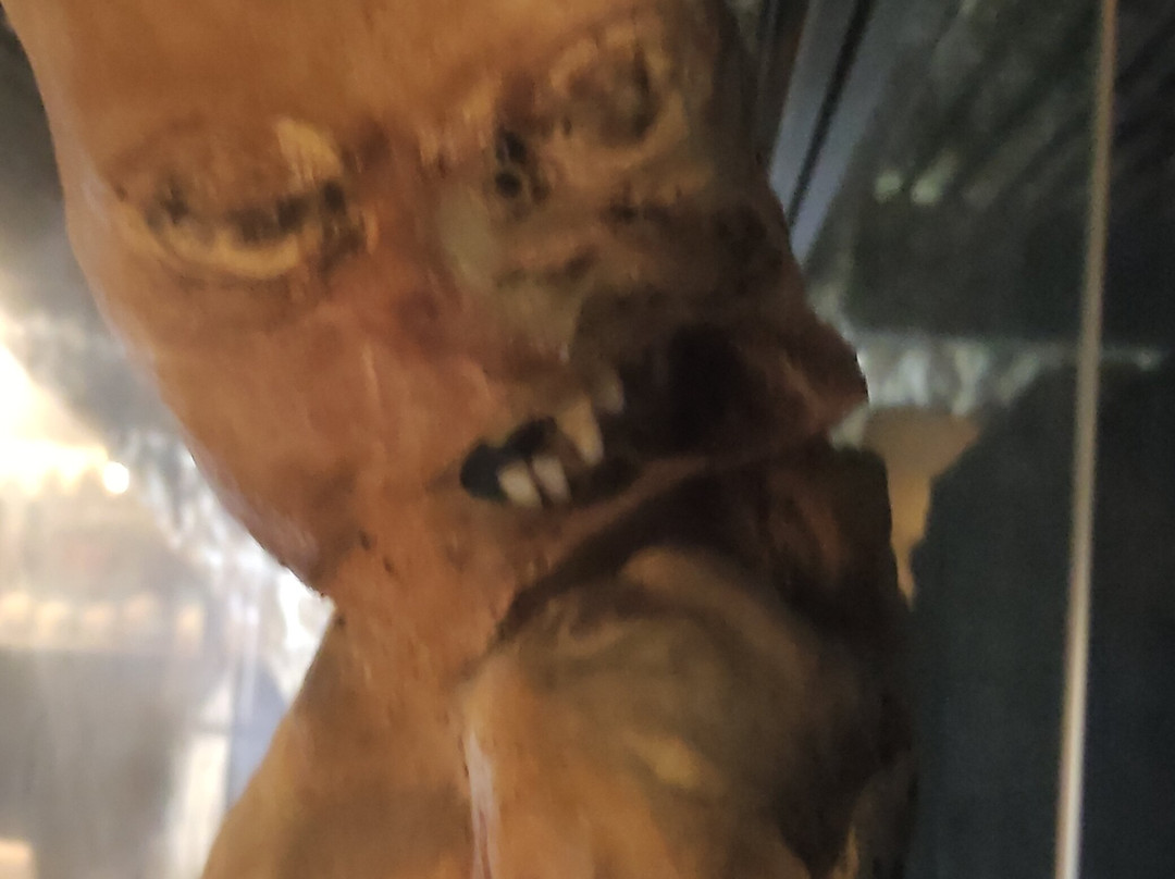 Museo delle Mummie di Ferentillo-Ferentillo必去景点