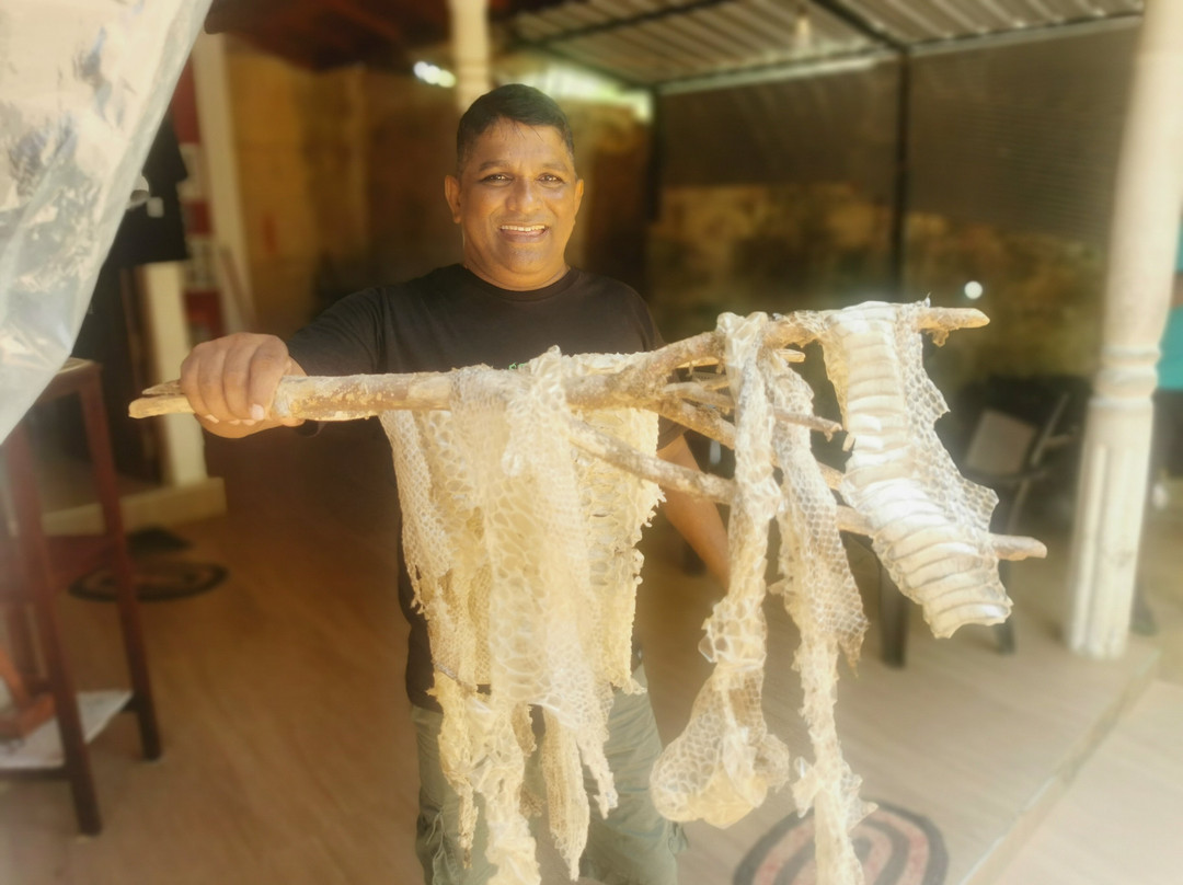 Snake Farm Weligama (Traditional Farm)