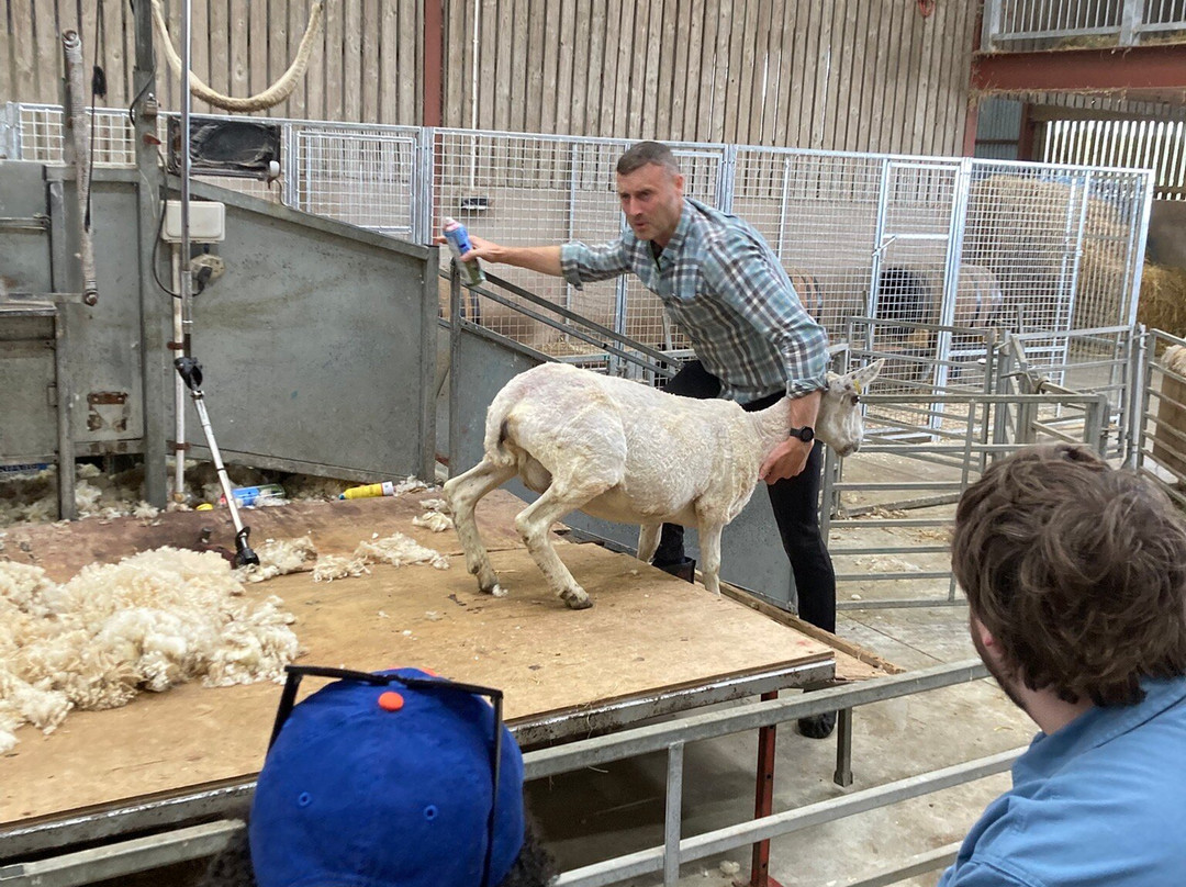 Glenshane Country Farm-Maghera必去景点