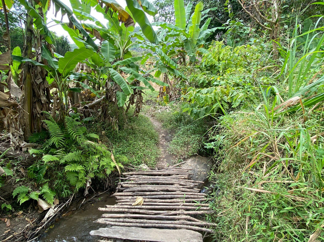 Chizua Waterfalls  Mikumi National Park-米库米国家公园必去景点