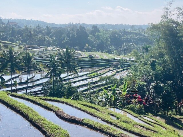 Jatiluwih-Jatiluwih必去景点