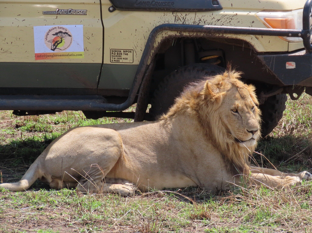 Right Choice Tours & Safaris-内罗毕必去景点