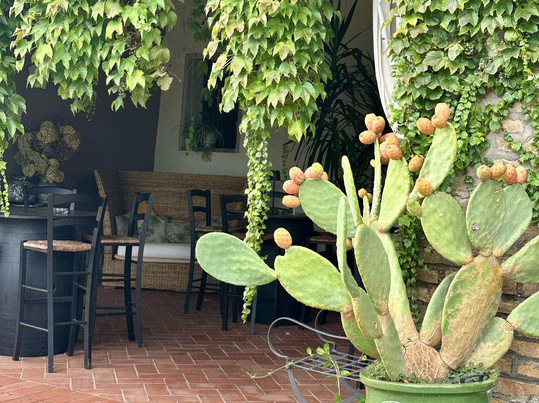 Cantina Riccafana-Cologne必去景点