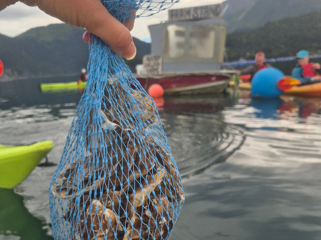 St. Augustine's Sea Kayak And Day Tours-荷马必去景点