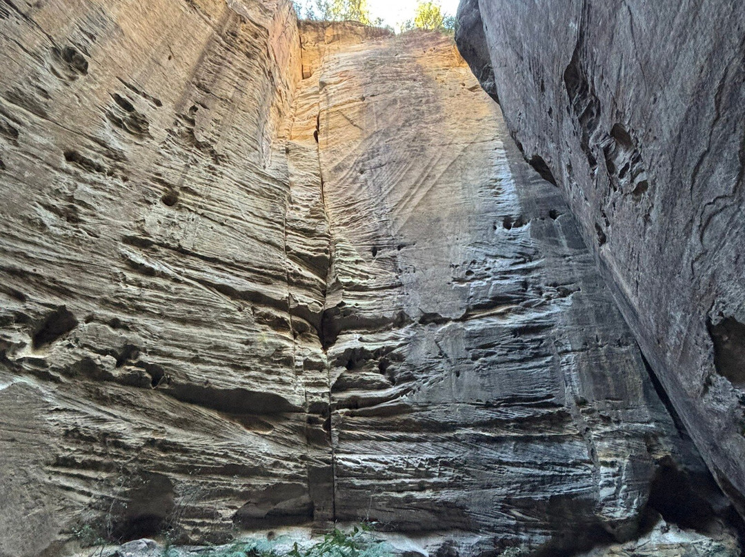 Australian Nature Guides-Carnarvon National Park必去景点