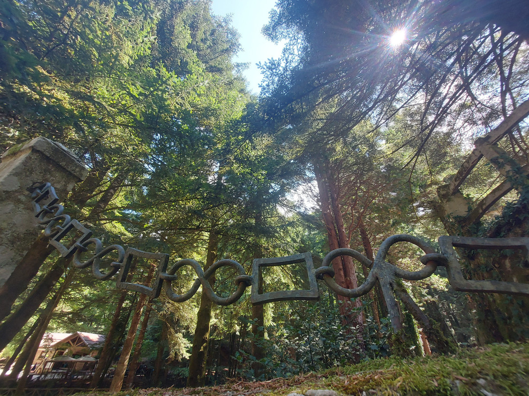 Parco Naturale Regionale delle Serre-Serra San Bruno必去景点