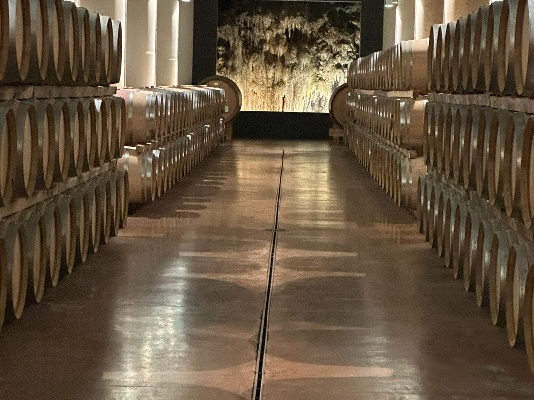 Castello Di Fonterutoli Wine Resort主图