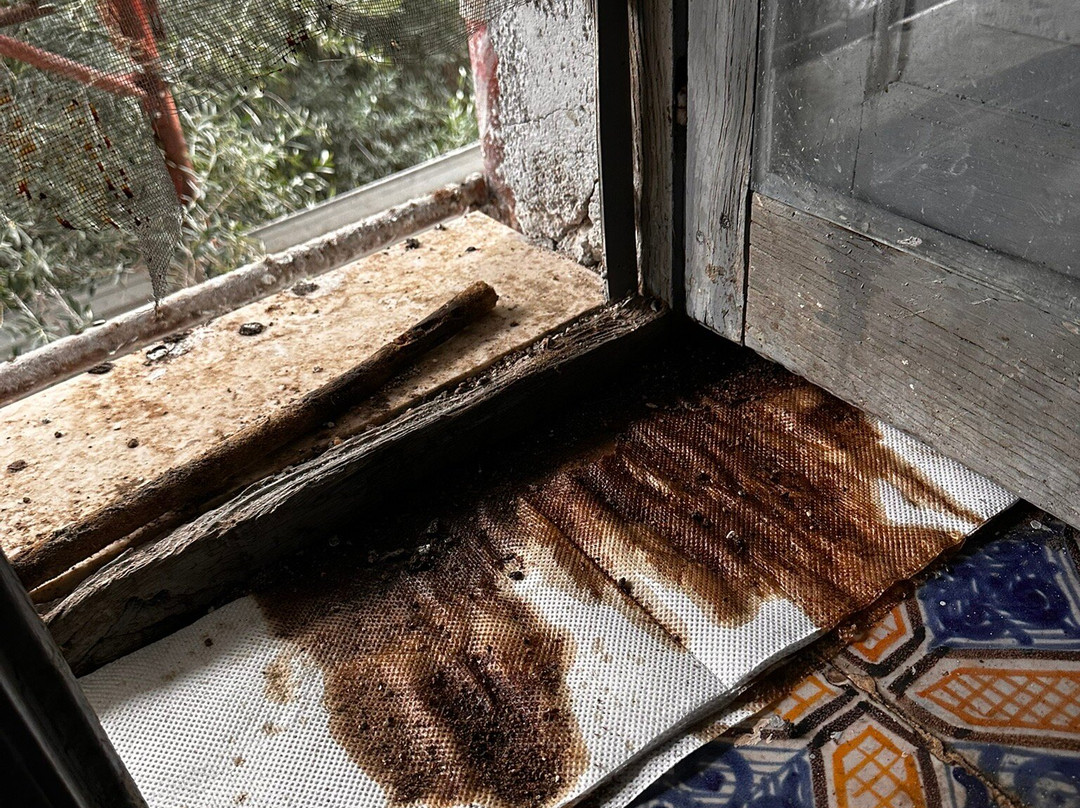 Palazzo Sciacca主图