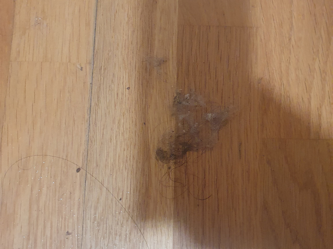 Hotel Restaurante Santa Elena主图