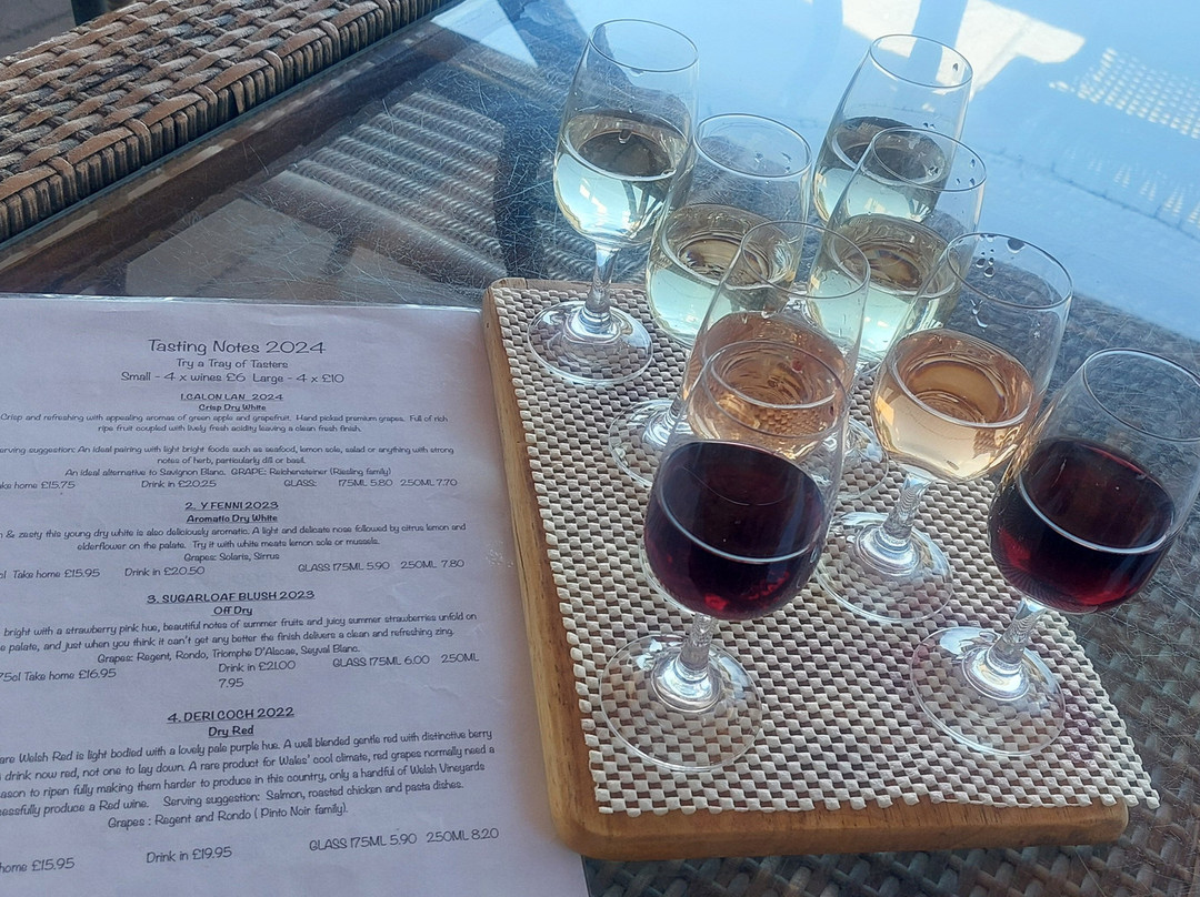 The Sugarloaf Vineyard-阿伯加文尼必去景点