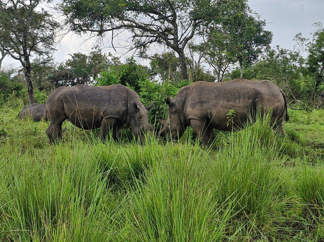 Ngoni Safaris Uganda-坎帕拉必去景点