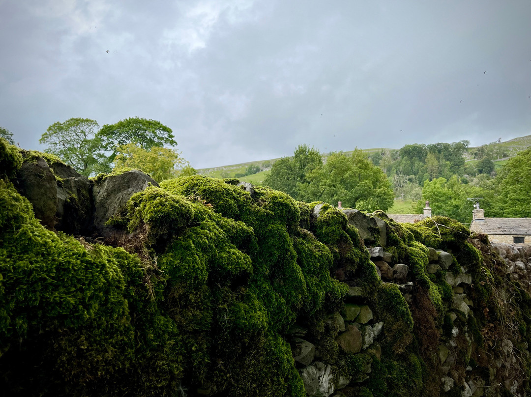 Real Yorkshire Tours-Burley in Wharfedale必去景点