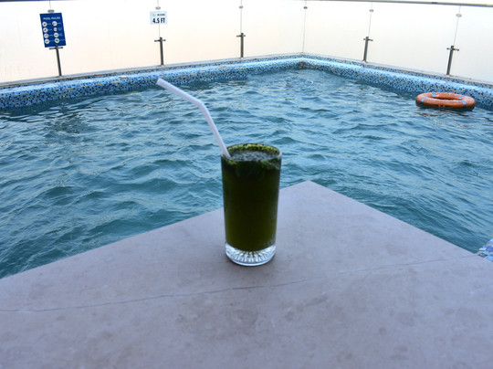 Yasrib Hospitality主图