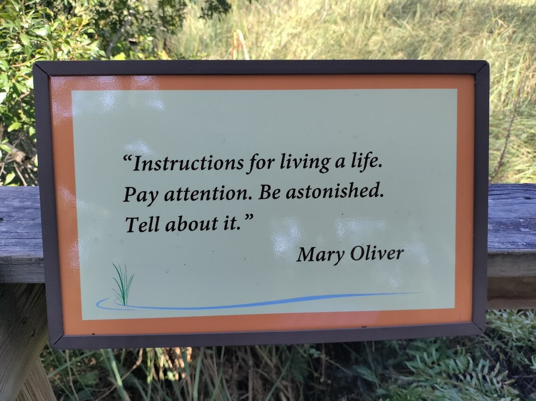 Apalachicola National Estuarine Research Reserve-Eastpoint必去景点