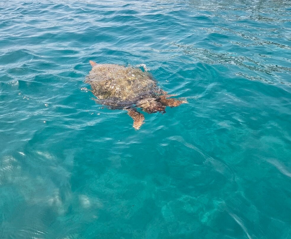 Village Inn Studios & Family Apartments主图