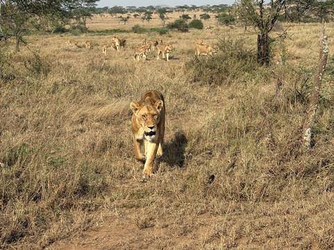 Tanzania Joy Tours-莫西必去景点